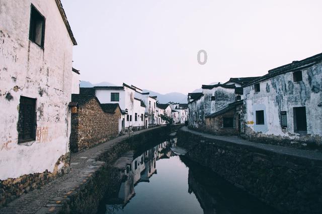 星动，只为你